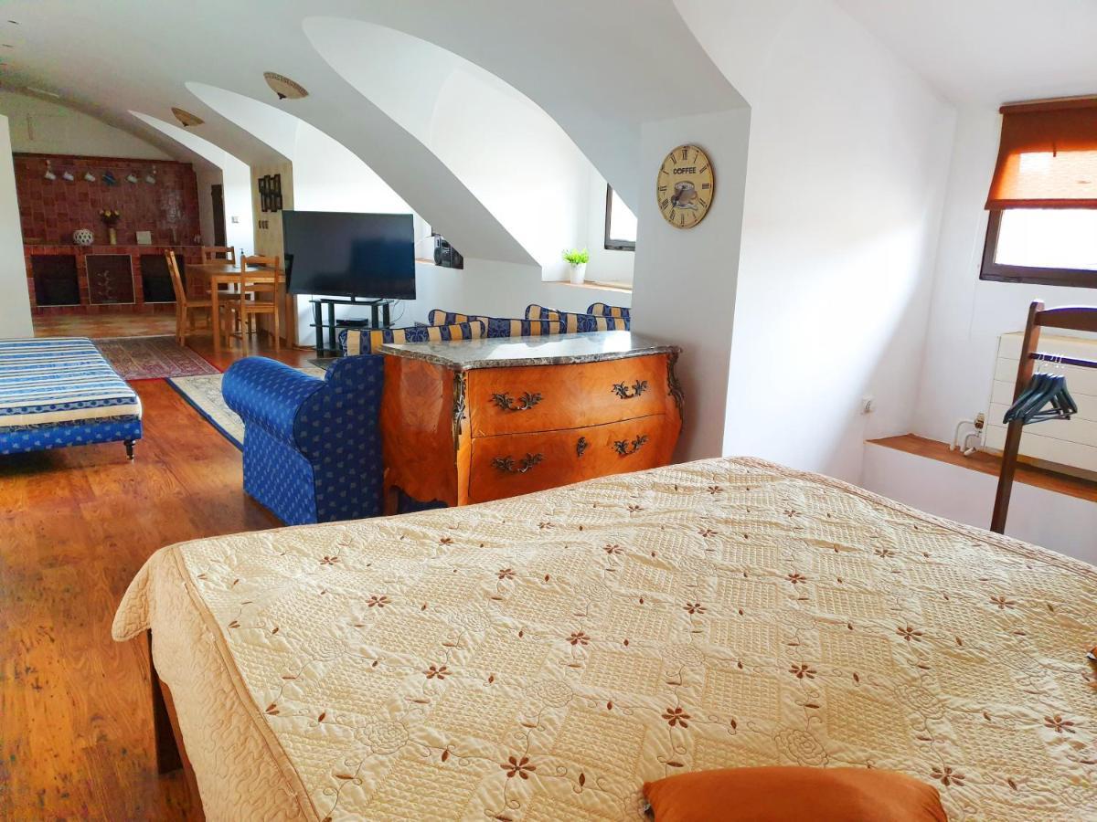 Studio Karluv Most Prague Extérieur photo
